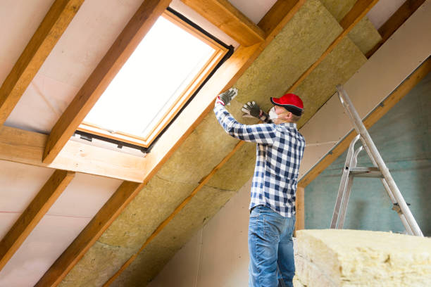 Professional Insulation Services in East Highland Park, VA